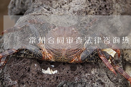 常州合同审查法律咨询热线 常州合同审查法律咨询热线