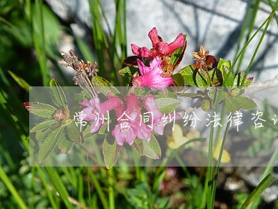 常州合同纠纷法律咨询室 常州合同纠纷法律咨询室