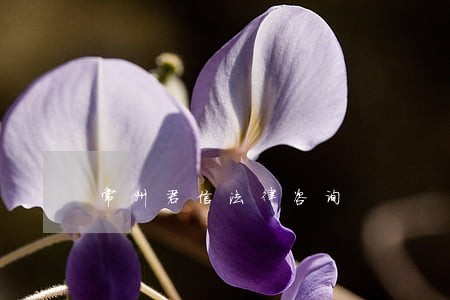 常州君信法律咨询