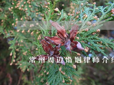 常州周边婚姻律师介绍