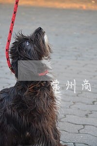 常州商事合同纠纷律师 常州商事合同纠纷律师