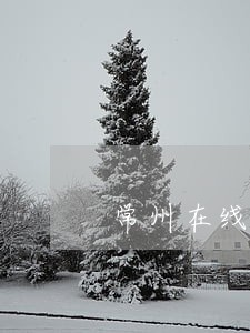 常州在线法律咨询app 常州在线法律咨询app