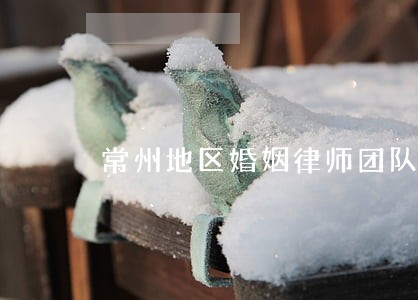常州地区婚姻律师团队 常州地区婚姻律师团队