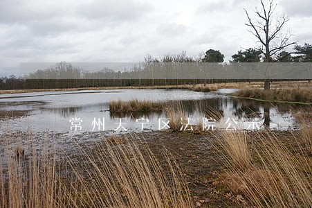 常州天宁区法院公示 常州天宁区法院公示