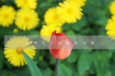常州天宁法院韩立新 常州天宁法院韩立新