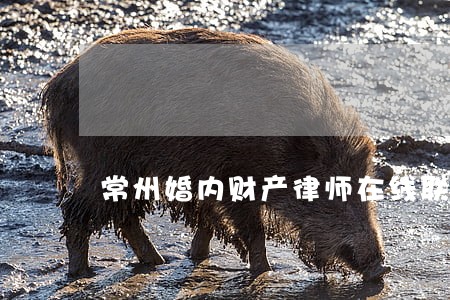常州婚内财产律师在线联系