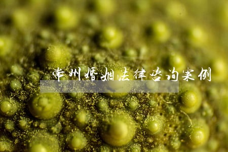 常州婚姻法律咨询案例 常州婚姻法律咨询案例