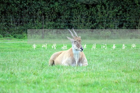 常州婚姻法律顾问事务所 常州婚姻法律顾问事务所