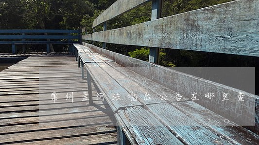 常州孟河法院出公告在哪里查 常州孟河法院出公告在哪里查