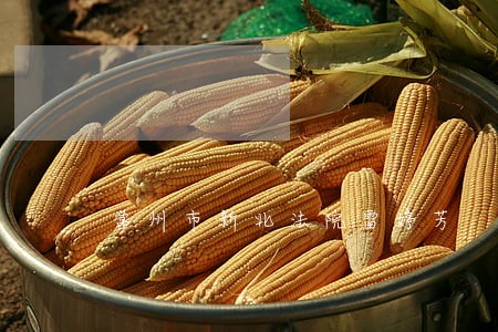 常州市新北法院雷婷芳
