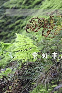 常州市法律援助优秀案件 常州市法律援助优秀案件