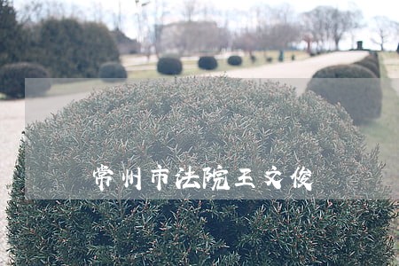 常州市法院王文俊 常州市法院王文俊