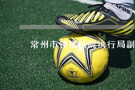 常州市钟楼法院执行局副局长 常州市钟楼法院执行局副局长