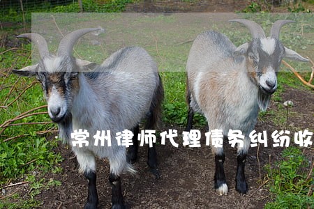 常州律师代理债务纠纷收费标准 常州律师代理债务纠纷收费标准