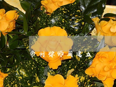常州律师周建立 常州律师周建立