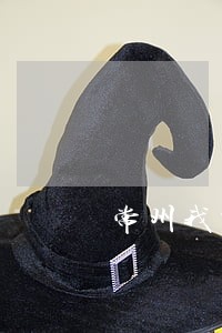 常州我市已有执业女律师100名 常州我市已有执业女律师100名