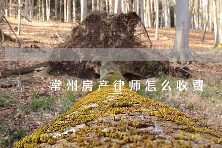常州房产律师怎么收费 常州房产律师怎么收费