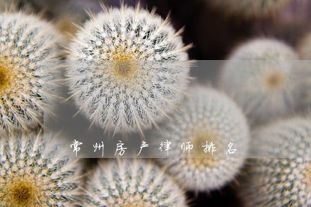 常州房产律师排名 常州房产律师排名