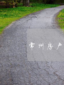 常州房产纠纷律师团队 常州房产纠纷律师团队