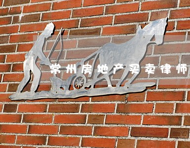 常州房地产买卖律师服务 常州房地产买卖律师服务