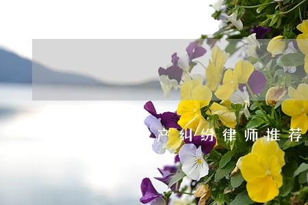 常州房地产纠纷律师推荐 常州房地产纠纷律师推荐