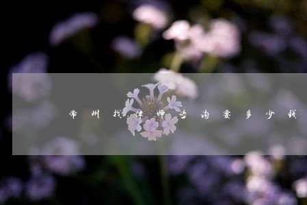 常州找律师咨询要多少钱 常州找律师咨询要多少钱
