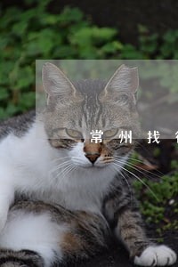 常州找律师要多少钱
