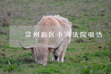 常州新区小河法院电话