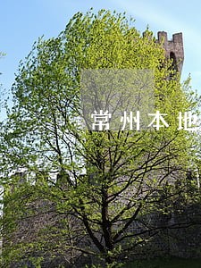 常州本地企业法律顾问 常州本地企业法律顾问
