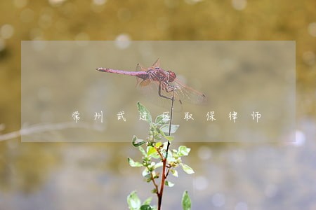 常州武进区取保律师 常州武进区取保律师