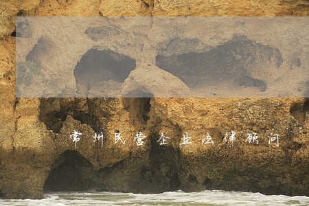 常州民营企业法律顾问 常州民营企业法律顾问