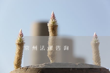 常州法律咨询 常州法律咨询