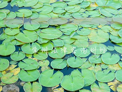 常州法律咨询纠纷 常州法律咨询纠纷