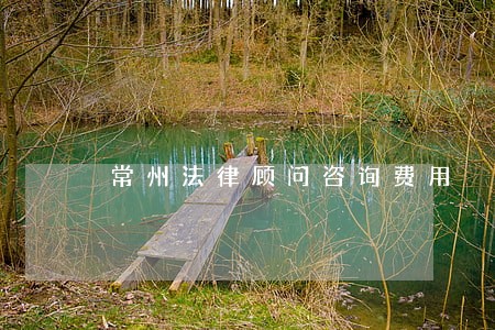常州法律顾问咨询费用 常州法律顾问咨询费用