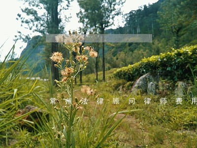 常州法律顾问律师费用 常州法律顾问律师费用