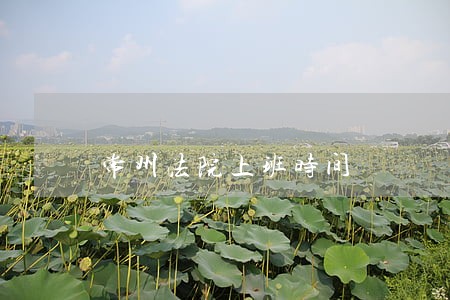 常州法院上班时间 常州法院上班时间