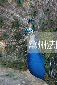 常州法院与时俱进