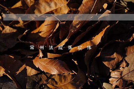 常州法院张宏伟 常州法院张宏伟