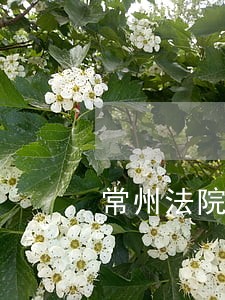 常州法院鉴定
