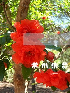 常州消费权益法律咨询网