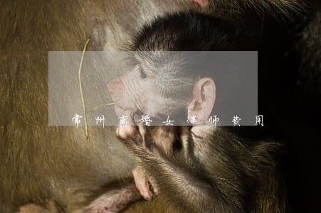 常州离婚女律师费用 常州离婚女律师费用