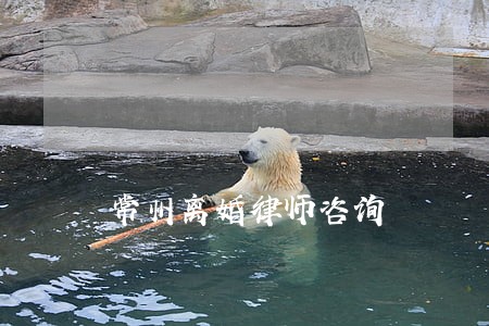常州离婚律师咨询 常州离婚律师咨询