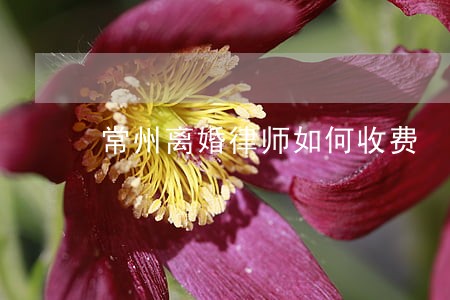 常州离婚律师如何收费 常州离婚律师如何收费