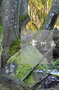 常州离婚法律咨询案例 常州离婚法律咨询案例