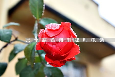 常州离婚调解律师电话 常州离婚调解律师电话