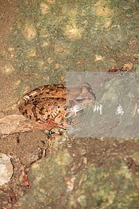 常州离婚财产律师价格 常州离婚财产律师价格