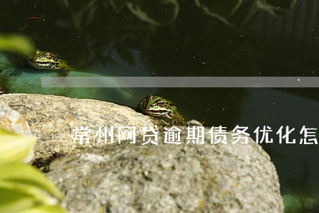 常州网贷逾期债务优化怎么收费 常州网贷逾期债务优化怎么收费