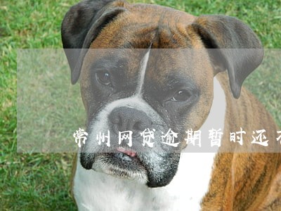 常州网贷逾期暂时还不上怎么办 常州网贷逾期暂时还不上怎么办
