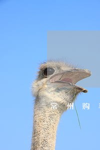 常州购车合同纠纷律师 常州购车合同纠纷律师