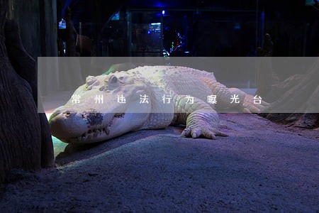 常州违法行为曝光台